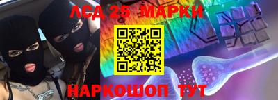 индика Боровичи