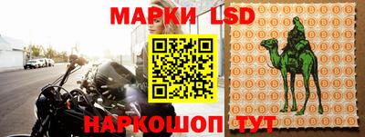 индика Боровичи