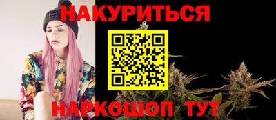 индика Боровичи