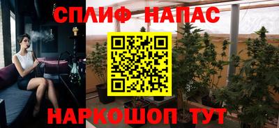 сатива Брянск